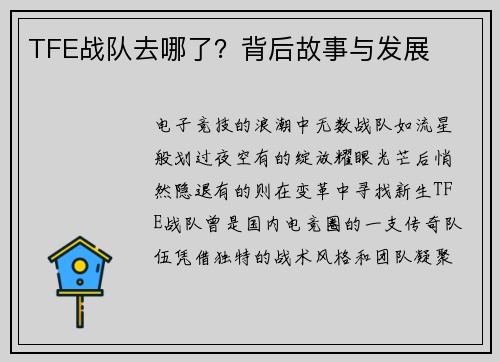 TFE战队去哪了？背后故事与发展