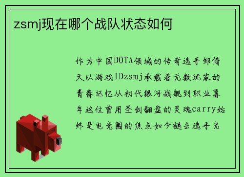 zsmj现在哪个战队状态如何